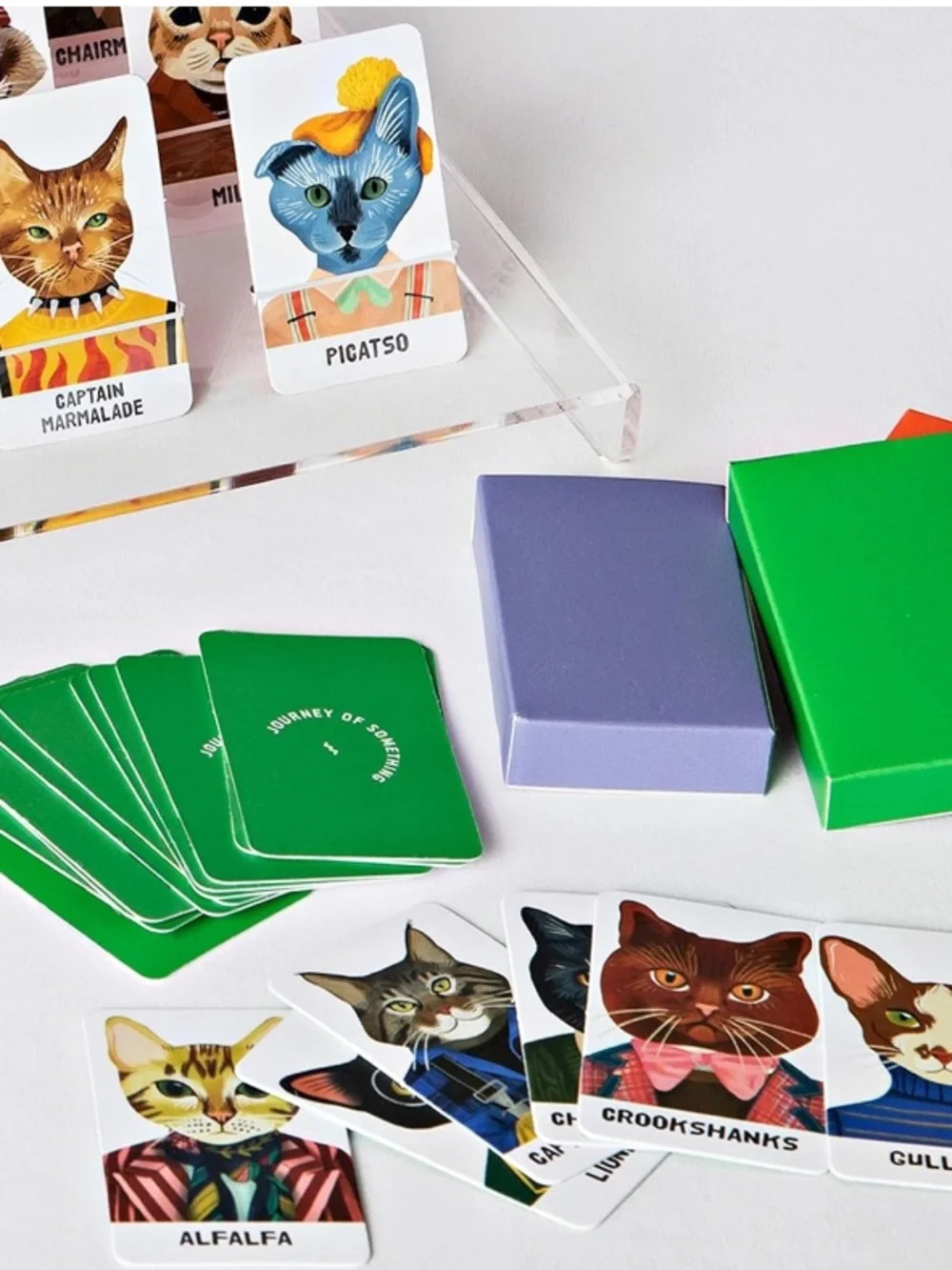 Guess the Feline Kids Toy Game - Colorful Cat Characters